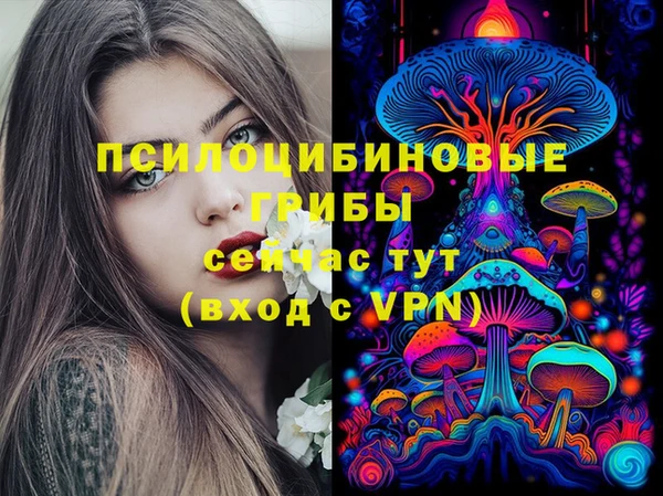 стафф Алексин