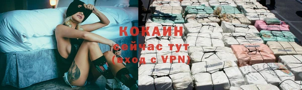 стафф Алексин